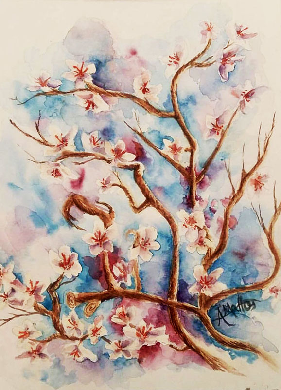 Flores de Cerejeira - 35,5 x 29 - Aquarela